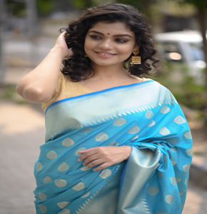 Elegant Light Blue Banarasi Booti Silk Saree