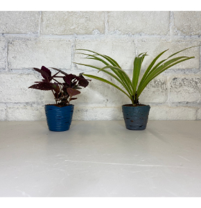 Handcrafted Unbreakable Recycled Plastic Medium Planters (Set of 2)